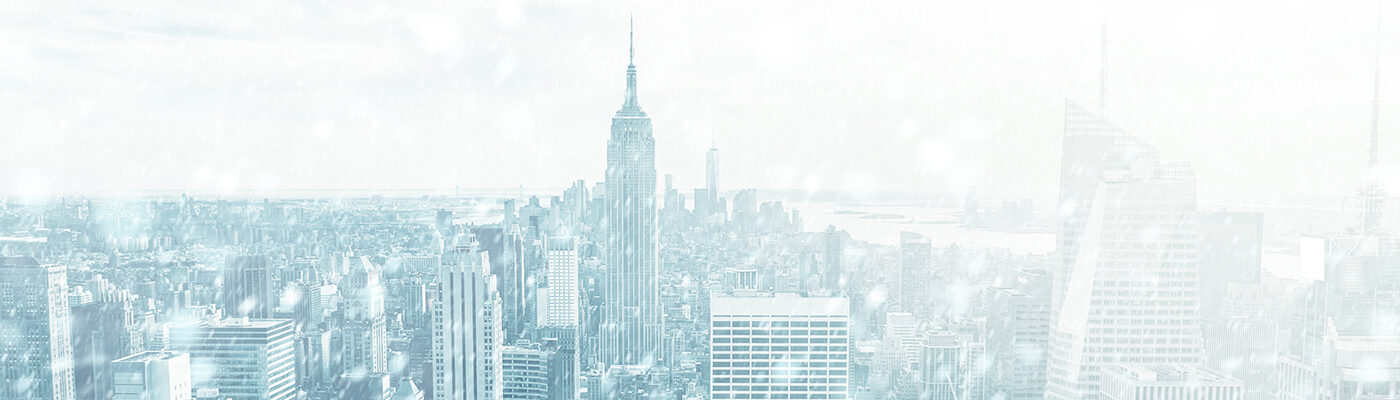 Wintery New York skyline covered in snow